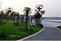 星海湖公园-绿化