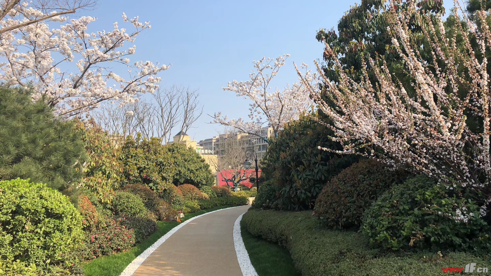 【郡望府相冊】連雲港郡望府-戶型圖-樣板房-實景圖-連雲港房產網-易